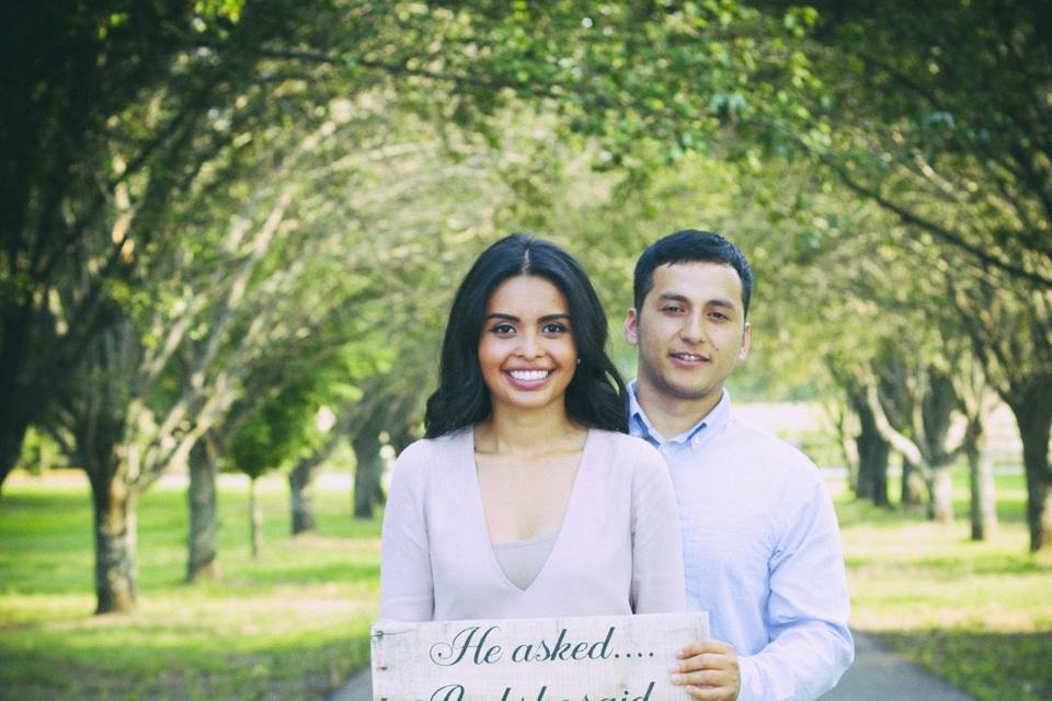 Armando's Imagery