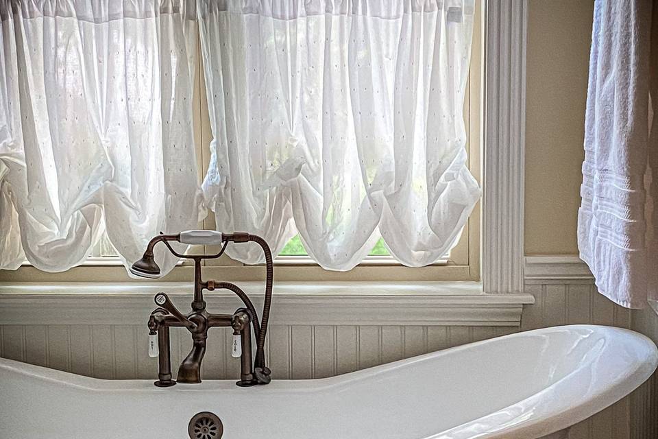 Tub in trail view suite