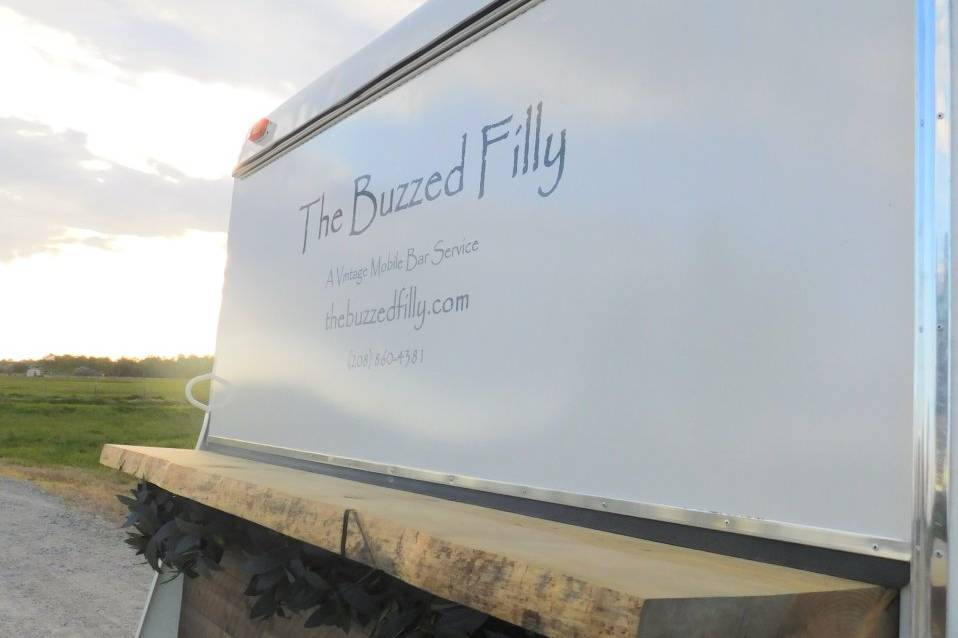 The Buzzed Filly