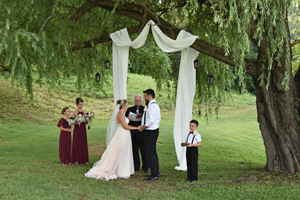 Willow Tree at Pond