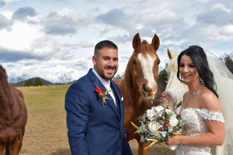 Equine interaction