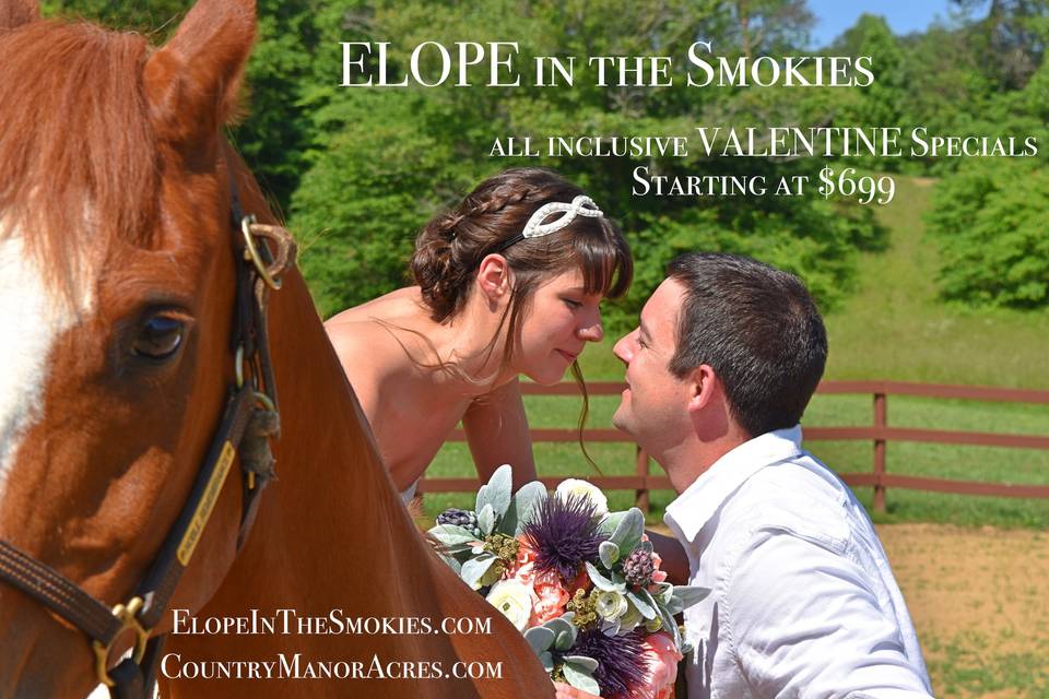 Elope in the Smokies