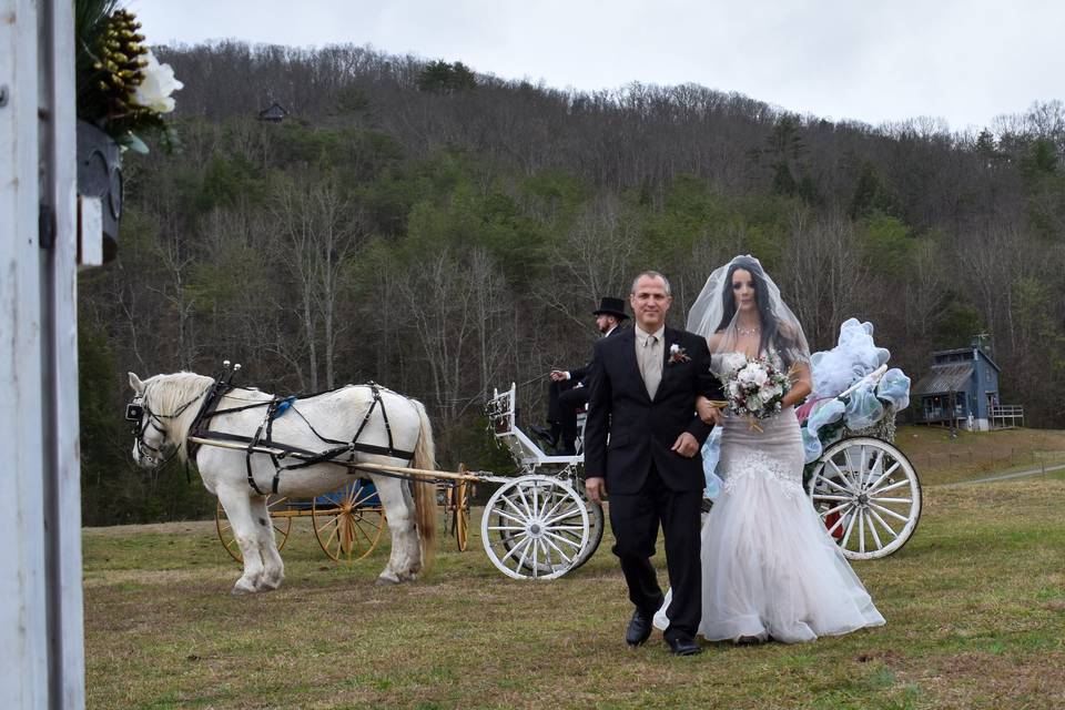 Carriage at Reid's Landing