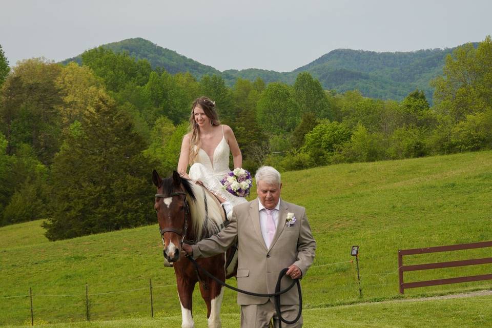 Bride's entry by horseback