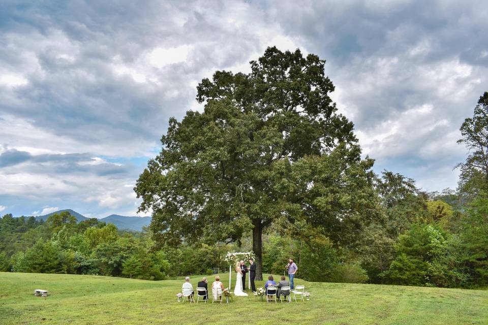 Oak Tree Elopement wedding