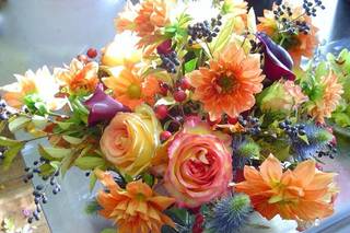 Cory Davenport Renown Designs