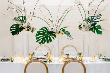 Reception with large monstera