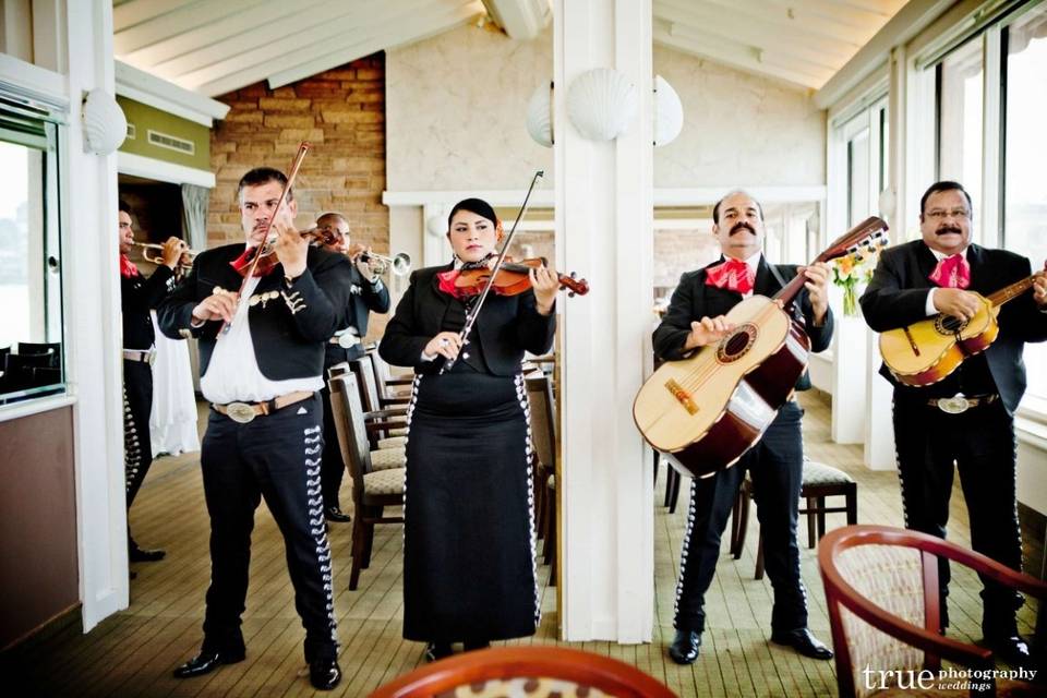 Wedding musicians