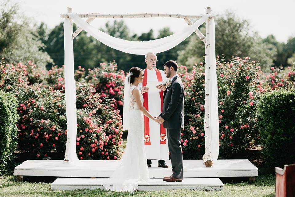 The wedding arch