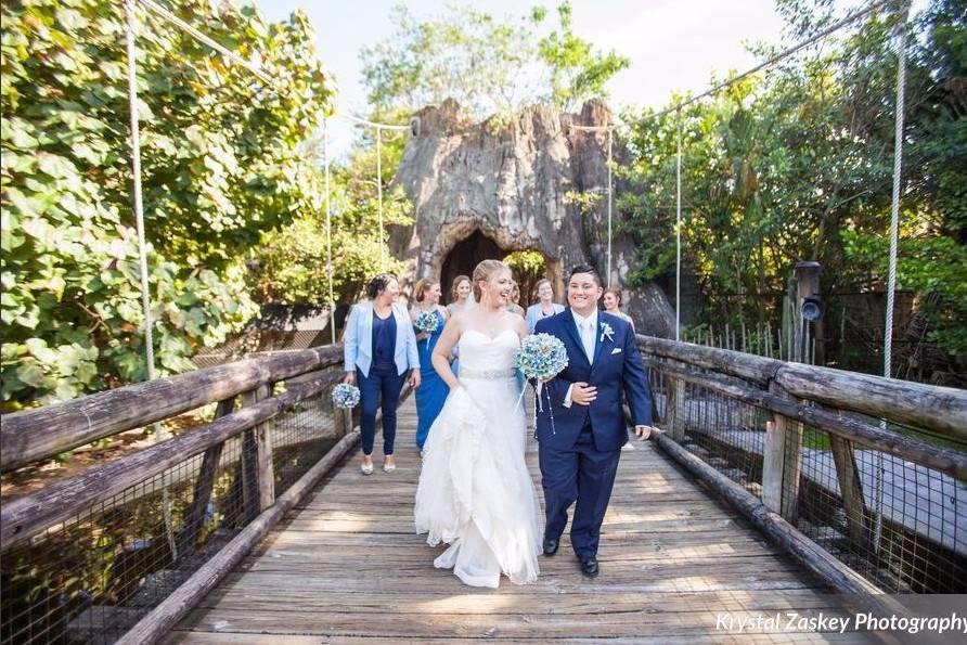 Wedding at Palm Beach Zoo