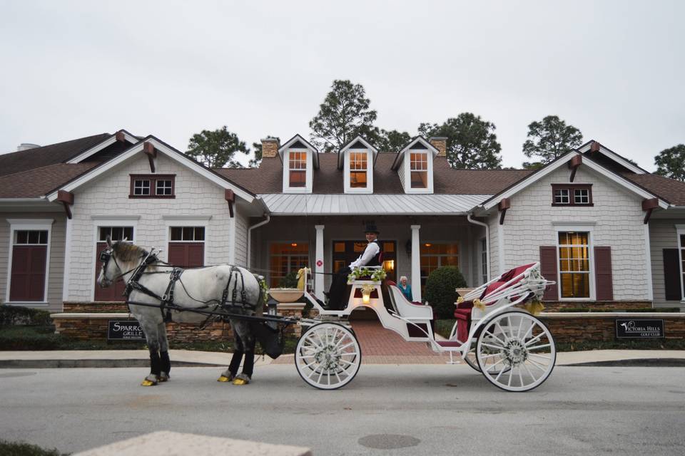 Horse and carriage Ceremony