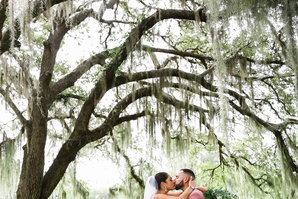 Romance hammock