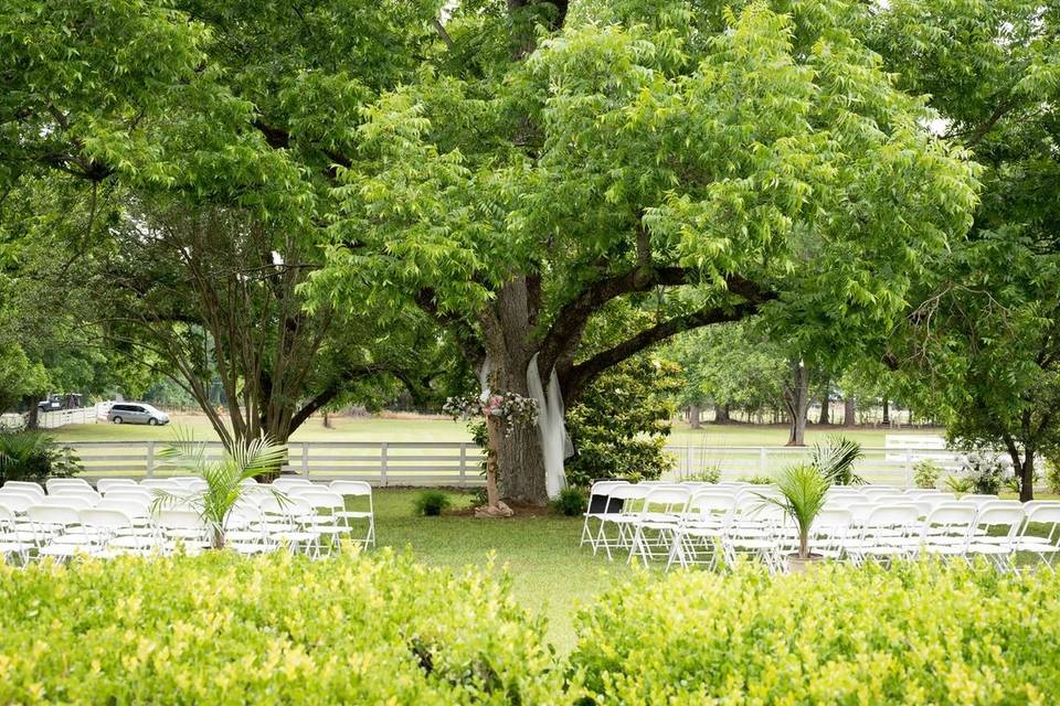 Scenic wedding setting
