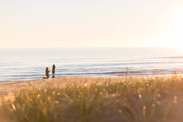 Sandbridge proposal
