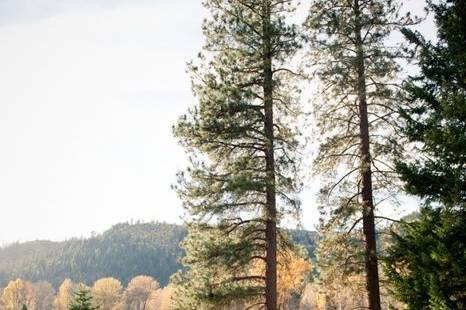 Pine River Ranch