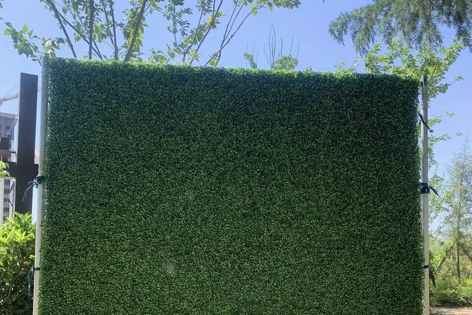 Boxwood Greenery Backdrop
