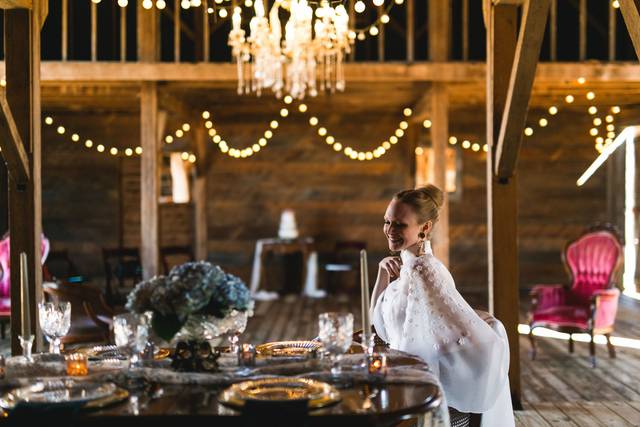 Ashley Porton Photography