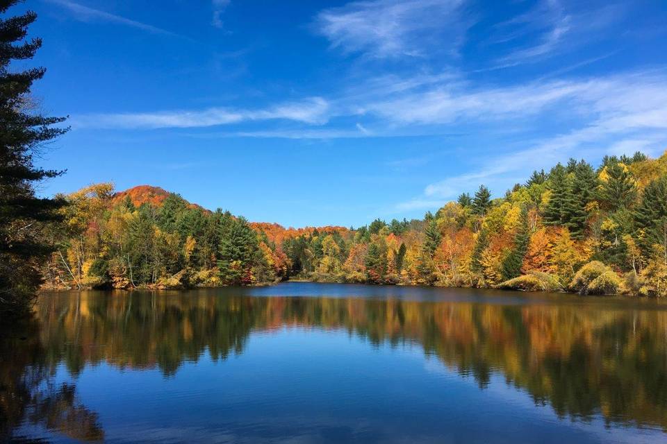 Lake view