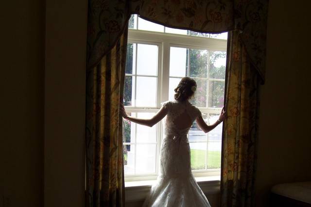 Bridal silhouette