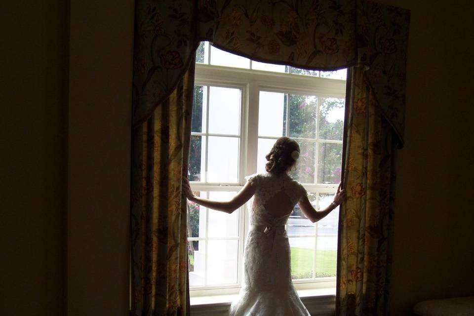 Bridal silhouette