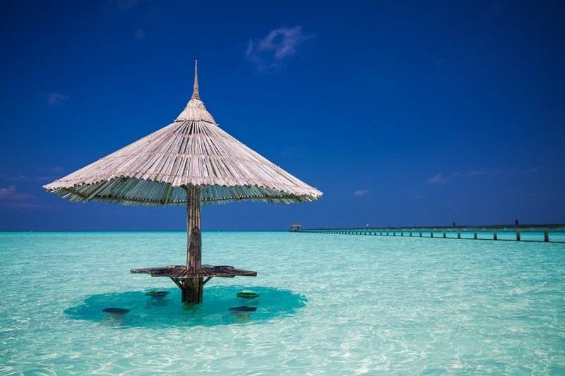 Maldives honeymoon