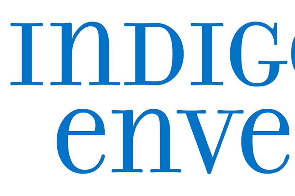Indigo Envelope Logo