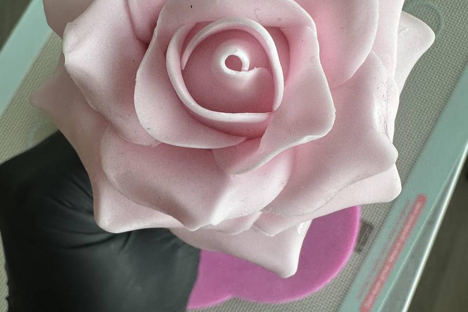 Sugarpaste-Rose