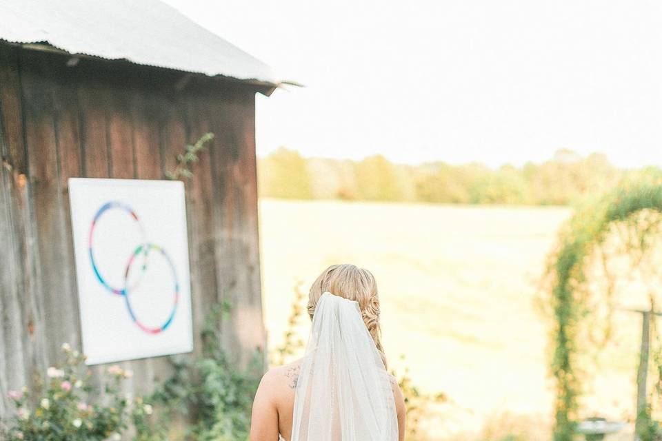 Bridal gown | Matthew Davidson Photography