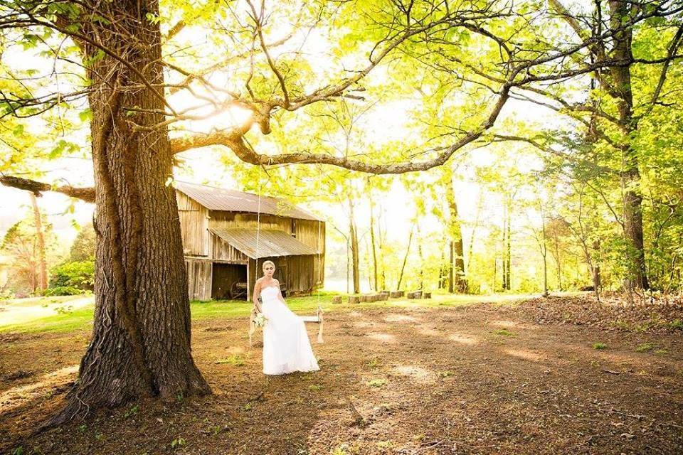 Bride on the tree swing