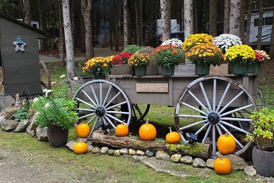 Rustic pumpkin display