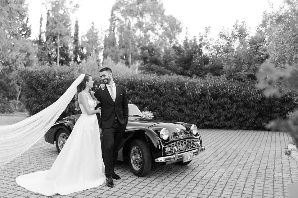 Elegant Wed