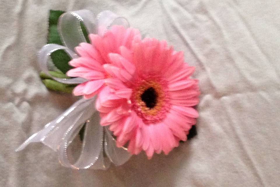Sunny pink flower