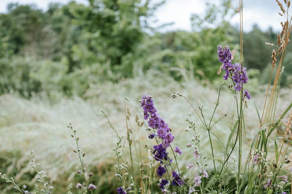Grassy Ground Florals