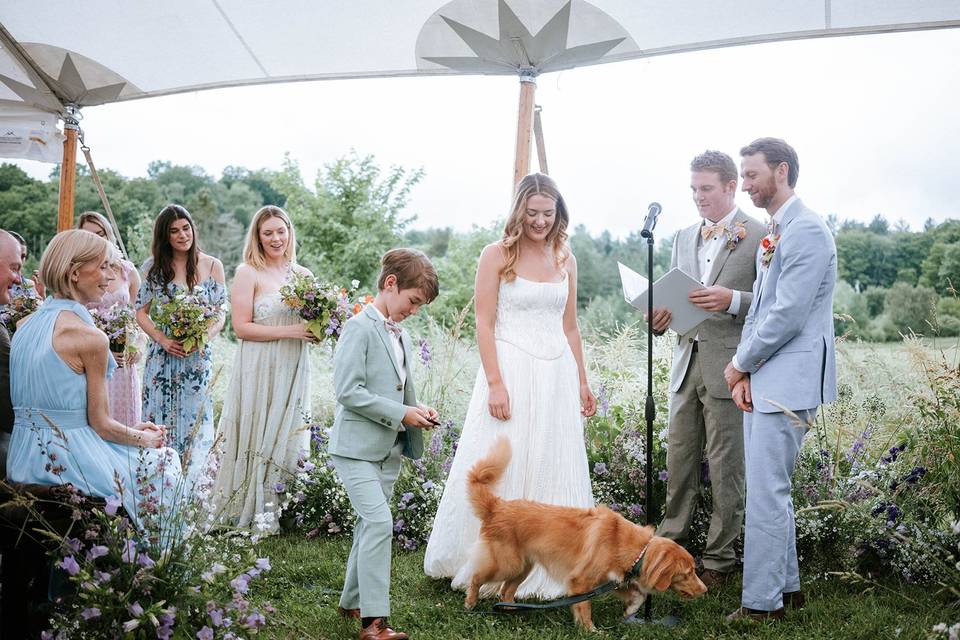 Rainy Ceremony