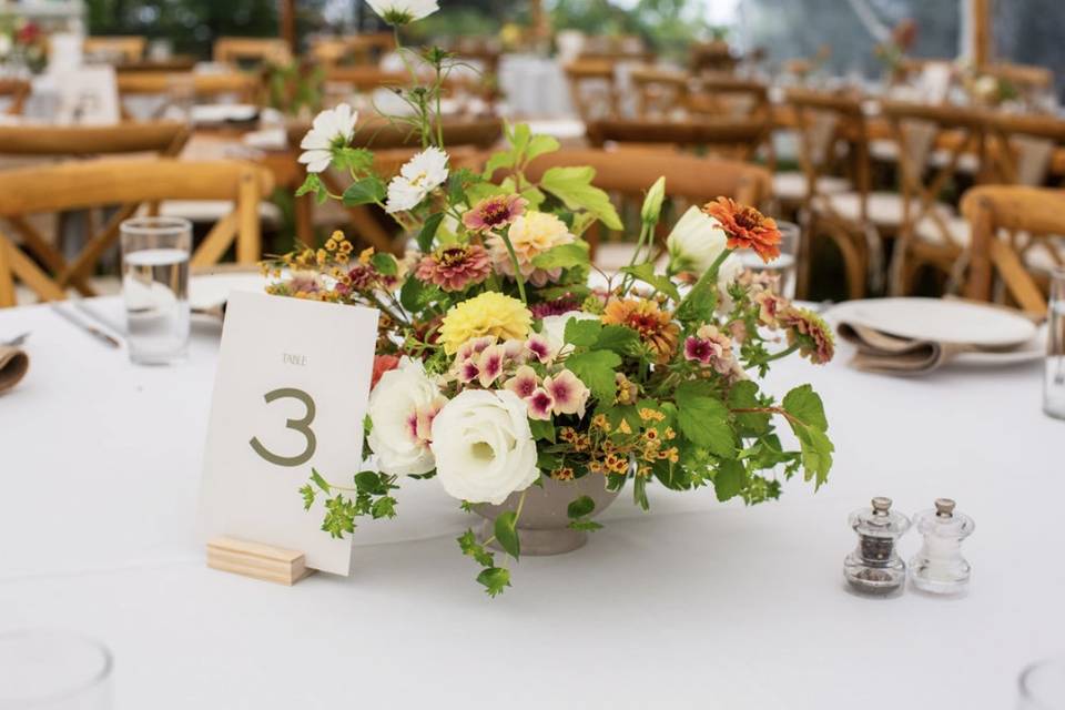 Centerpiece