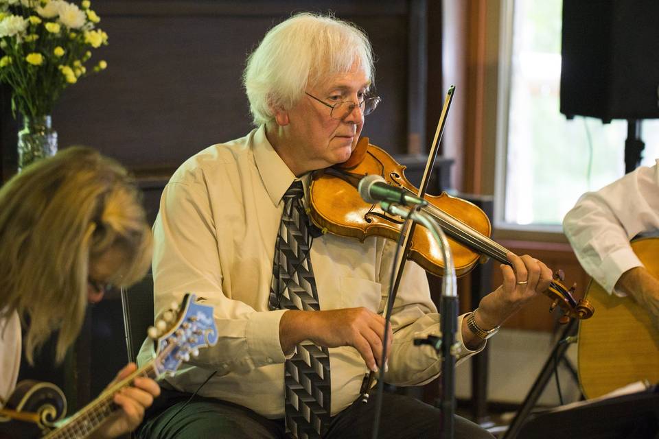 Playing the violin