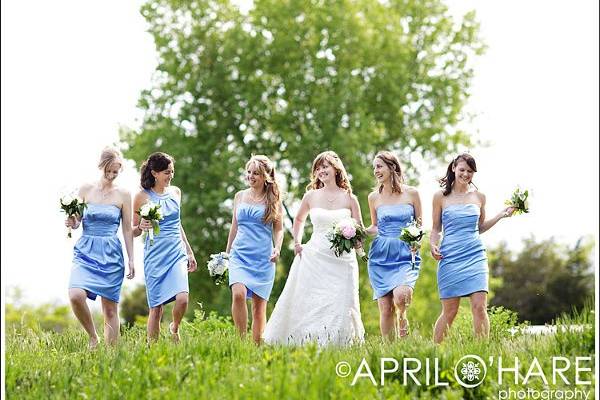 Bridesmaids wearing satin periwinkle blue dresses walk with the bride at the 63rd St. Farm in Boulder CO
