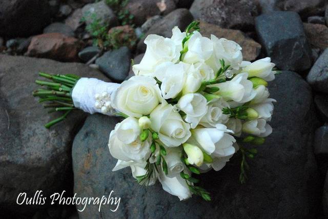 Princess Pine Events and Design