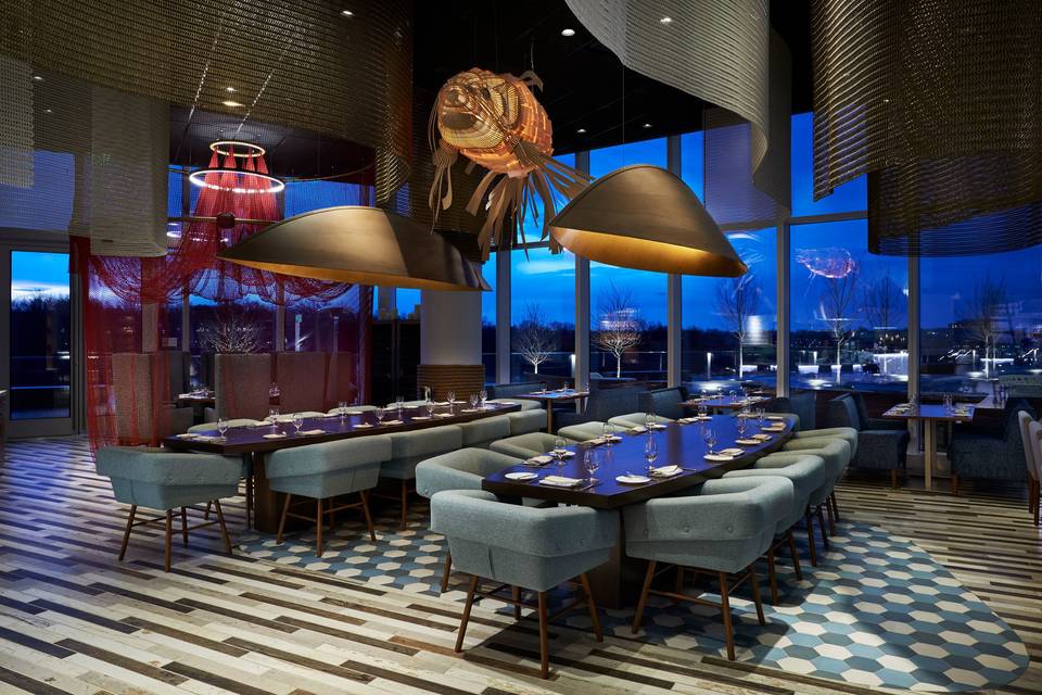 Jose Andres FISH