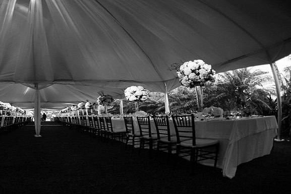 Tent Weddings Too