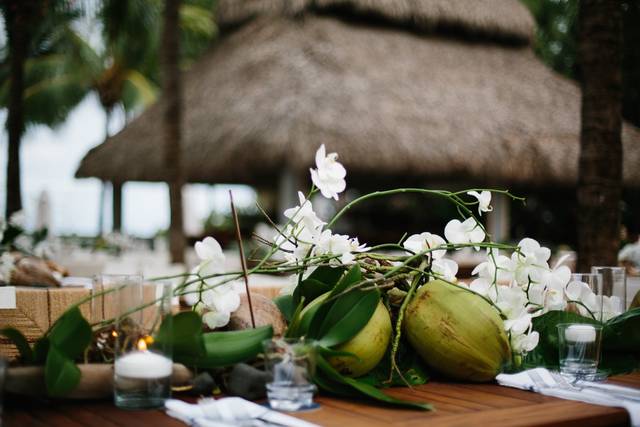 Carolina Guzik Photography