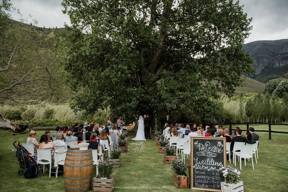 Outdoor ceremony