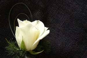 Magnolia Events & Design LLC