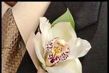 Magnolia Events & Design LLC