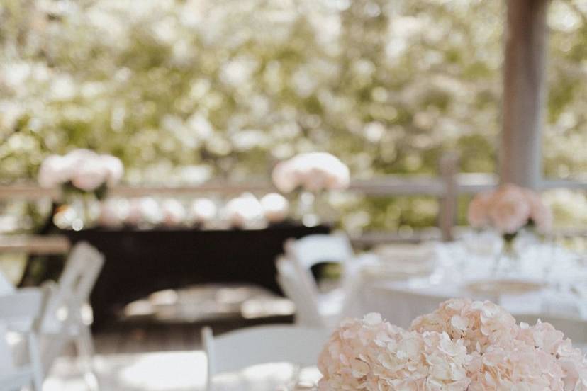 Simple Elegant Table Set up