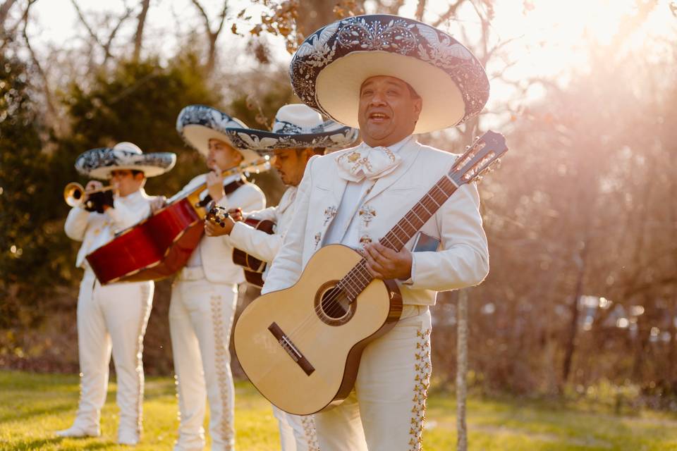 Mariachi