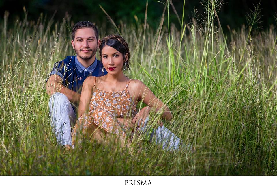 Prisma Photography