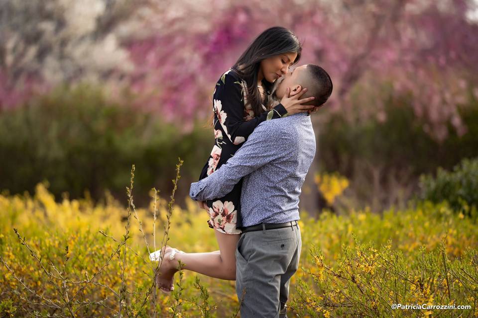 Engagement in The Branch Brook