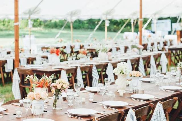 Reception set-up