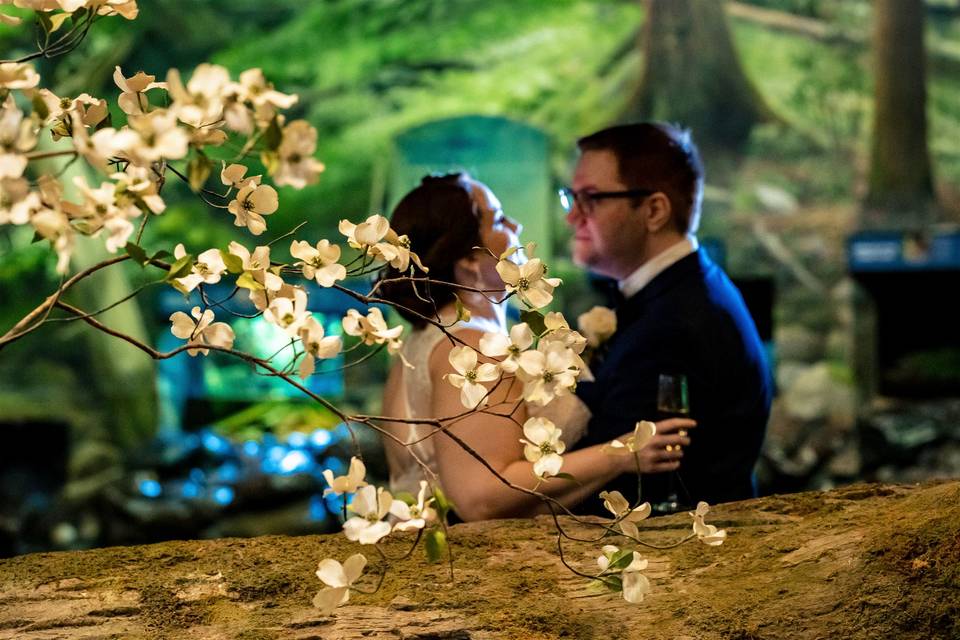 Couple in the mountain exhibit
